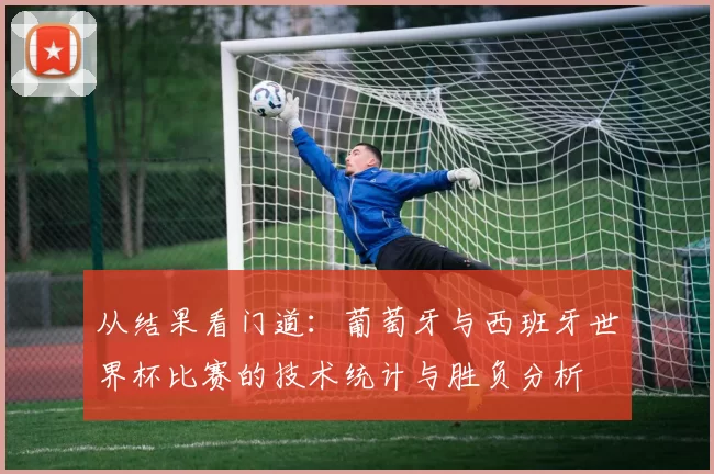 从结果看门道:葡萄牙与西班牙世界杯比赛的技术统计与胜负分析