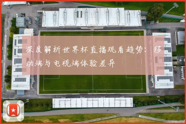 深度解析世界杯直播观看趋势:移动端与电视端体验差异