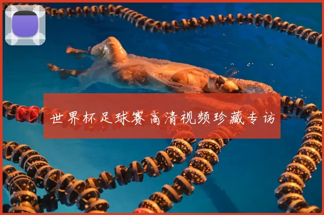 世界杯足球赛高清视频珍藏专访