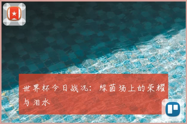 世界杯今日战况:绿茵场上的荣耀与泪水