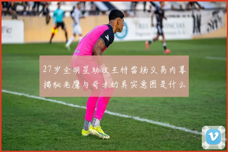 27岁全明星助攻王特雷杨交易内幕揭秘老鹰与奇才的真实意图是什么