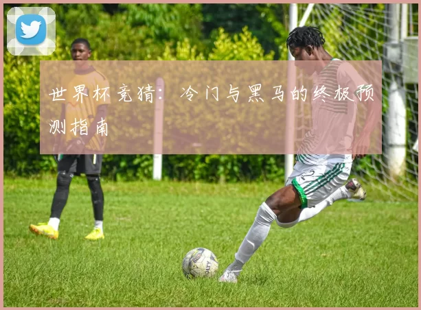 世界杯竞猜:冷门与黑马的终极预测指南